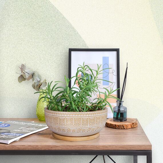 G EPGardening 20,5 cm Keramik-Sukkulenten-Übertöpfe, rund, flach, Bonsai-Pflanztopf für Zimmerpflanzen mit Drainage und Bambus-Untersetzer, Weiß