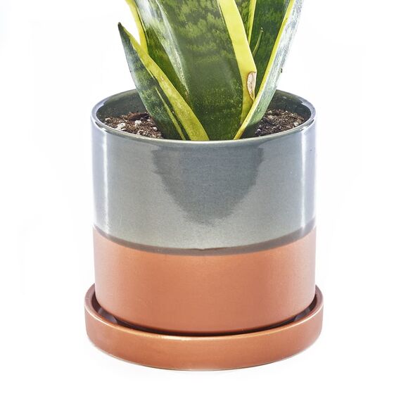 Chive, 12,7 cm Big Minute, Sukkulenten, Kaktustopf und Untertasse, Keramik-Blumen- Pflanzgefäß mit Drainageloch abnehmbarem Untersetzer, ideal für Innen- Außenbereich, Gartendekoration (Terrakotta)