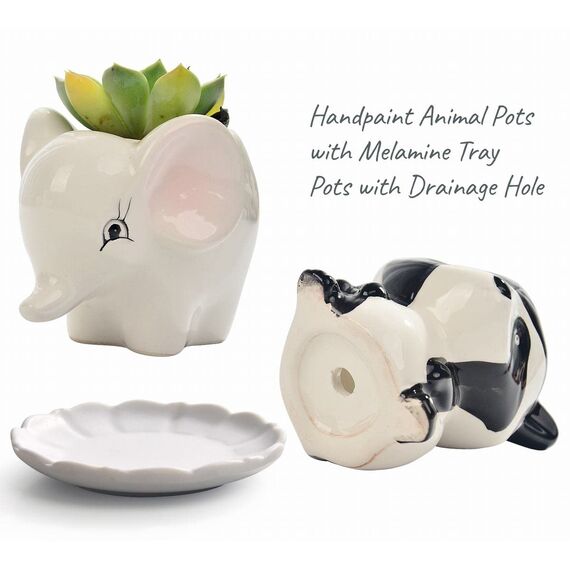 B SEPOR Kleine Keramik-Tier-Pflanzgefäße für Sukkulenten mit Drainage und Untersetzer aus Holz, schönes einzigartiges Geschenk, Fuchs, Panda, Kuh, Elefant, Schaf, Zebra, 6 Stück