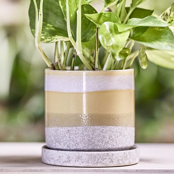 Chive - Minuten-, Sukkulenten- und Kaktus-Topf und Untersetzer, Keramik-Blumen- und Pflanzenbehälter mit Ablaufloch und abnehmbarem Untersetzer, ideal für Innen- und Außenbereich, Gartendekoration