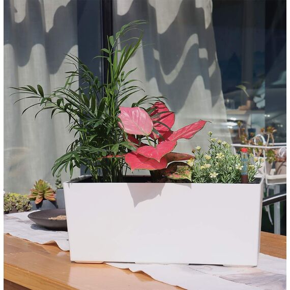 SAROSORA, rechteckiger Selbstbewässerungstopf, 36 cm lang – mit Wasserstandsanzeige, ideal für Pflanzen und Blumen im Innen- und Außenbereich, Sukkulenten, Kräuter, als Fensterkasten (1 Stück, weiß)