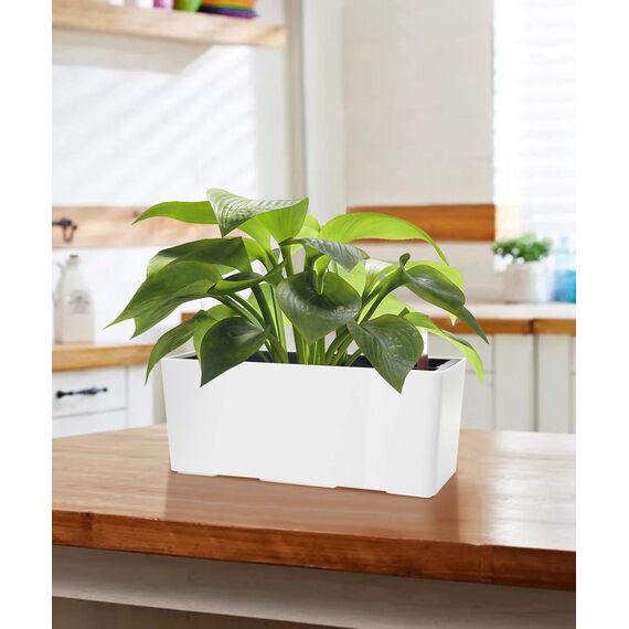 SAROSORA, rechteckiger Selbstbewässerungstopf, 36 cm lang – mit Wasserstandsanzeige, ideal für Pflanzen und Blumen im Innen- und Außenbereich, Sukkulenten, Kräuter, als Fensterkasten (1 Stück, weiß)