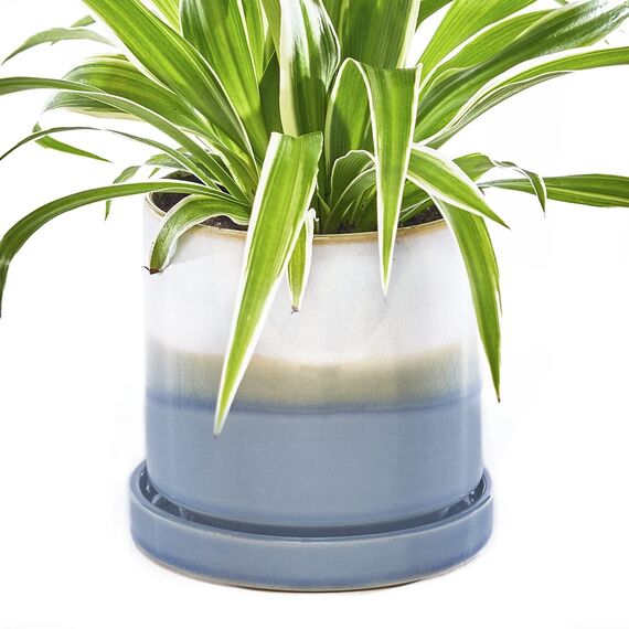 Chive,Minute, Sukkulenten, Kaktustopf und Untersetzer, ideal für Innen- und Außenbereich, Gartendekoration (blaue Schicht)