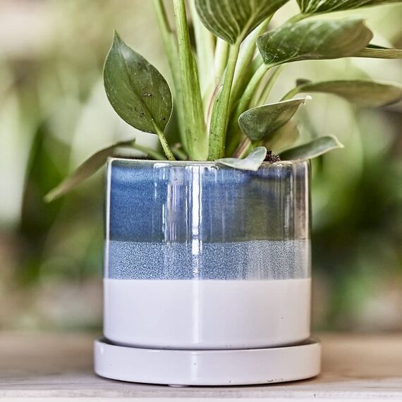 CHIVE "Minute" Keramik Sukkulenten Pflanzgef��e � 12,7 cm Indoor Kaktus & Blumenbeh�lter T�pfe mit Drainage & abnehmbarer Untertasse � Gr�n Blau