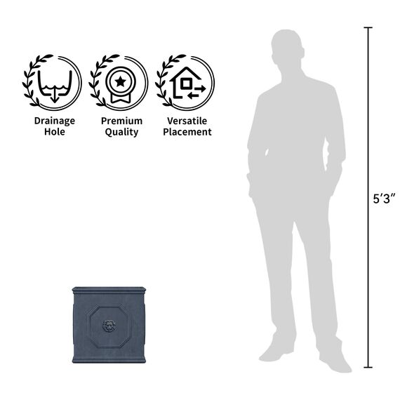 Kante RF0172B-C80451 Übertopf mit Löwenkopf, leicht, klassisch, quadratisch, Antik-Grau, 12.6"