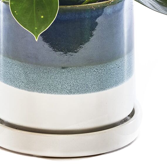 CHIVE "Minute" Keramik Sukkulenten Pflanzgef��e � 12,7 cm Indoor Kaktus & Blumenbeh�lter T�pfe mit Drainage & abnehmbarer Untertasse � Gr�n Blau