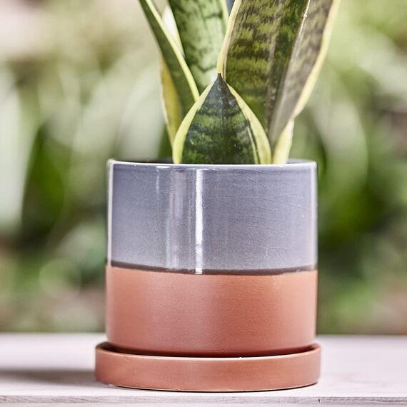 Chive, 12,7 cm Big Minute, Sukkulenten, Kaktustopf und Untertasse, Keramik-Blumen- Pflanzgefäß mit Drainageloch abnehmbarem Untersetzer, ideal für Innen- Außenbereich, Gartendekoration (Terrakotta)