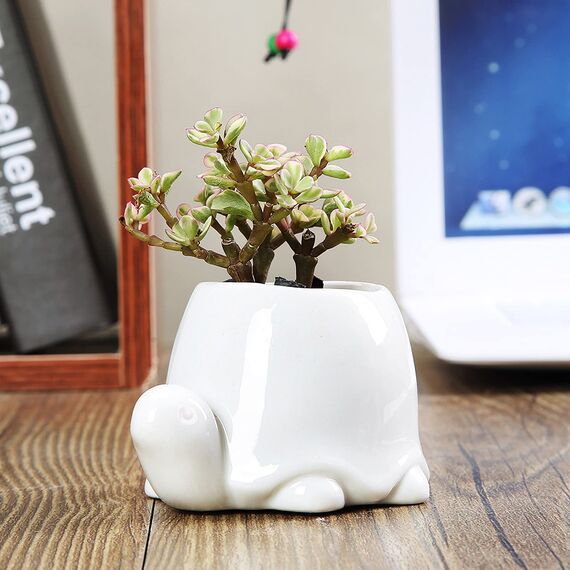 GeLive Weiße Schildkröte Keramik Sukkulenten Pflanzgefäß Schildkröte Pflanztopf Fensterbank Box Tier Blumenbehälter Tischplatte Dekor mit Drainageloch (2er Set Schildkröte)