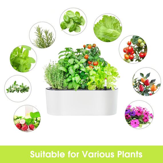 SAROSORA, ovaler Selbstbewässerungstopf, 41 cm lang – mit Wasserstandsanzeige, ideal für Pflanzen und Blumen im Innen- und Außenbereich, Sukkulenten, Kräuter und Fensterkasten (1 Stück, oval, weiß)