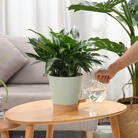 Qaobo Blumentöpfe, 6 Stück, 12,7 cm, selbstbewässernde Pflanzgefäße, hohe Drainage, Blumentöpfe für Innen- und Außenbereich, mit Reservoir-Tablett und Bewässerungslippe, Gartenpflanzgefäß, Garten,