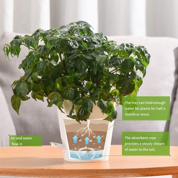 Qaobo Blumentöpfe, selbstbewässernd, hohe Drainage, Blumentöpfe für Innen- und Außenbereich, mit Auffangschale und Bewässerungslippe, Gartenpflanzen, Weiß, 6 Stück