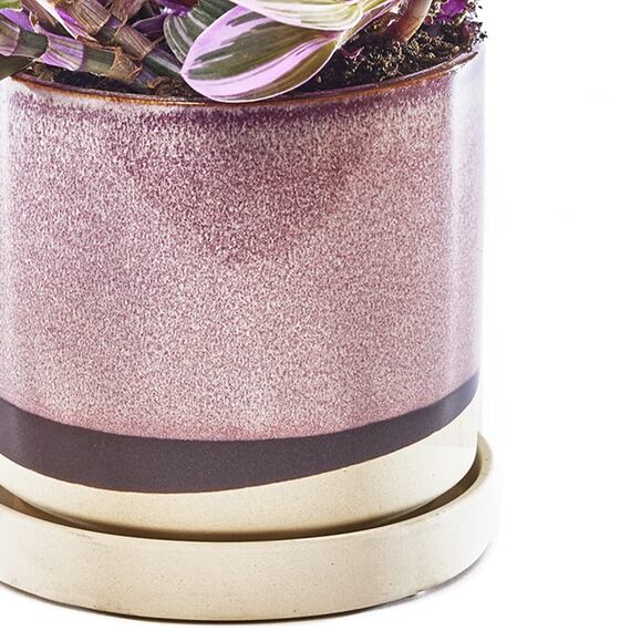 Chive Minute Keramik-Übertopf, niedlich, 5 Bunte Sukkulentententöpfe für Innen- und Außenbereich, Zimmerpflanzen, schöne Moderne Bauernhaus-Küchendekoration, Burgunderrot