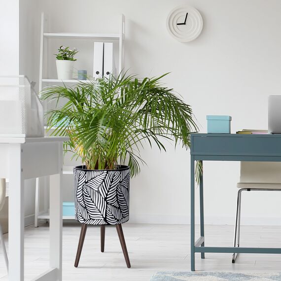 D'vine Dev 35,6 cm Übertopf mit Ständer, Mid-Century Hoher Blumentopf mit Beinen für Zimmerpflanzen, X-Large, Weiß/Grau, 88-LF-XL-WG