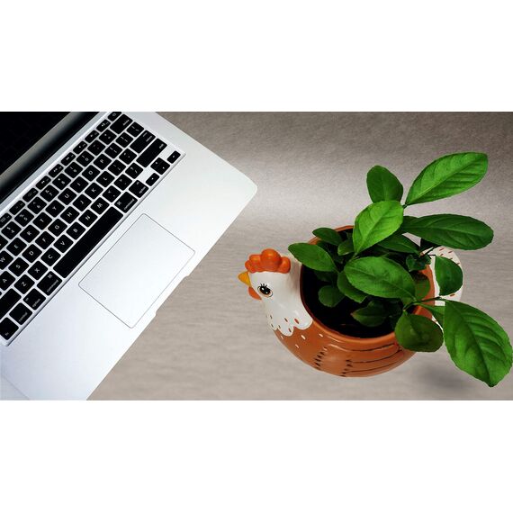 Sixdrop, Hühner-Blumentopf, Hahn als Utensilienhalter, Party-Zubehör, Blumentopf für Sukkulenten, für drinnen und draußen, Garten, Terrasse, Balkon, Hühner-Design, Keramik