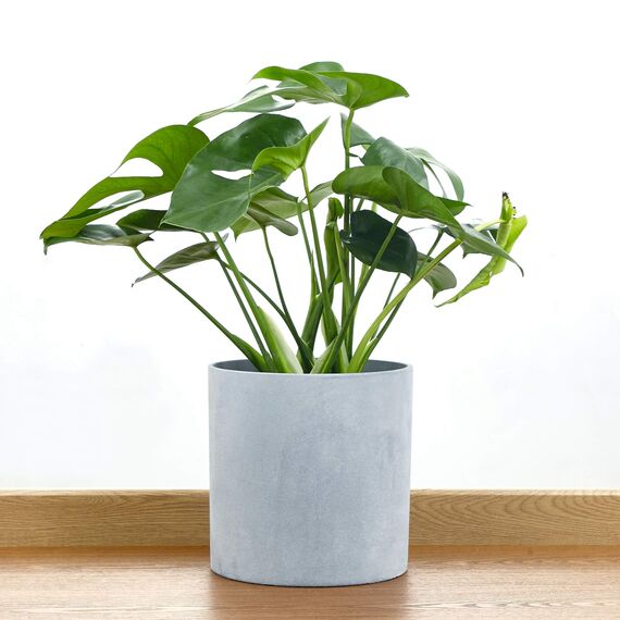 FaithLand Blumentopf, Pflanzkübel, Pflanztopf, 25,4 cm, passt perfekt auf moderne Pflanzenständer aus der Mitte des Jahrhunderts, Drainage-Stöpsel und Drainagesieb, grauer Übertopf