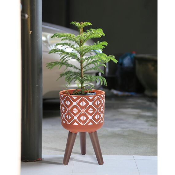 D'vine Dev 8" Indoor Planter Pot with Stand, Geometric Planter Pot for Plant, Small, Pottery Red Terracotta/White, 88-ST-8-S