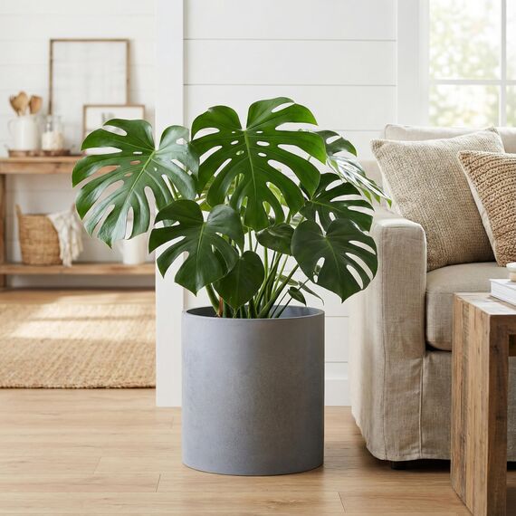 FaithLand Blumentopf, 35,6 cm, Moderne Pflanzenständer aus der Mitte des Jahrhunderts, Drainage-Stöpsel und Drainagesieb, Grauer Übertopf