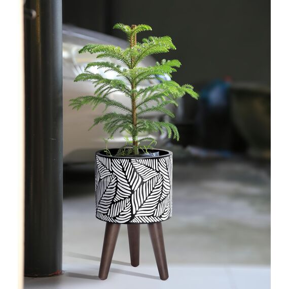 D'vine Dev 88-L-A-7 Pflanztopf mit Ständer, 20,3 cm großer Blumentopf mit Beinen für Zimmerpflanzen, klein, weiß/grau