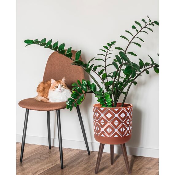 D'vine, Dev, Pflanztopf mit Ständer, Mid-century modern, hoher Blumentopf mit Beinen für Zimmerpflanzen, groß, Keramik, rot, Terrakotta/weiß, 30,5 cm, Dev 88-G-C-5