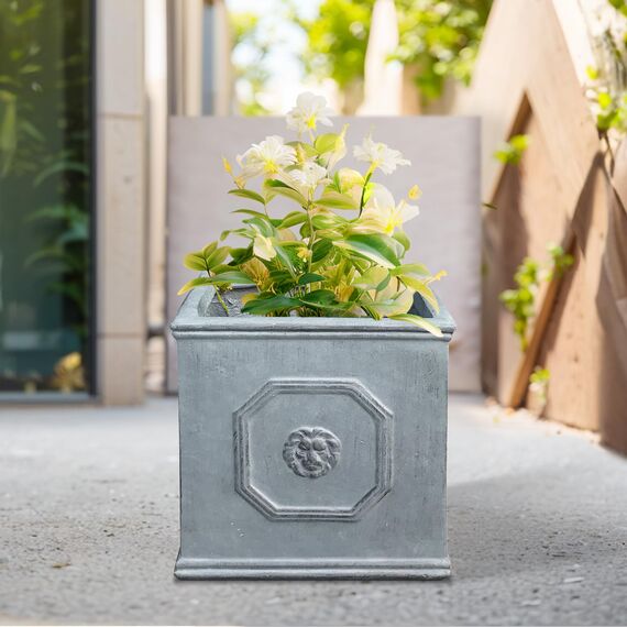 Kante Quadratischer Löwenkopf-Pflanztopf aus Beton, klassischer englischer Stil, Pflanztopf mit Ablaufloch und Gummistopfen für drinnen und draußen, Garten, Terrasse, Haus, 32 x 32 x 32 cm, Kiesgrau