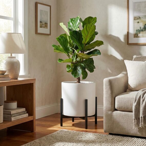 FaithLand Blumentopf, 35,6 cm, perfekt für Moderne Pflanzenständer aus der Mitte des Jahrhunderts, Ablaufstopfen und Drainagegitter, Mattweiß