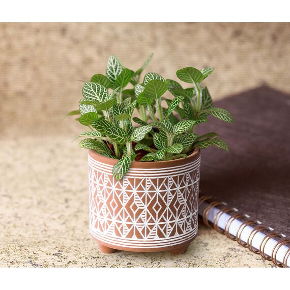 D'vine Dev Set mit 2 Terrakotta-Pflanztöpfen, 10,2 cm & 15,2 cm, Design Pflanztopf mit Drainageloch, Savannen-Webart, Terrakotta/Weiß, 31-953-G-1