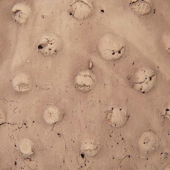 Creative Co-op Sandstein Hobnail, Used-Look Pflanztopf, 22,9 cm L x 22,9 cm B x 17,8 cm H, Beige