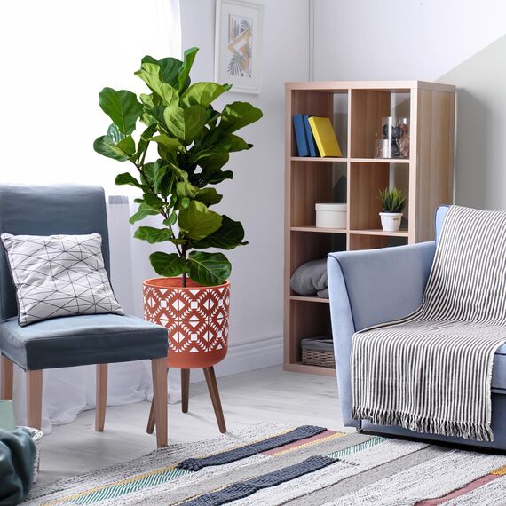 D'vine, Dev, Pflanztopf mit Ständer, Mid-century modern, hoher Blumentopf mit Beinen für Zimmerpflanzen, groß, Keramik, rot, Terrakotta/weiß, 30,5 cm, Dev 88-G-C-5