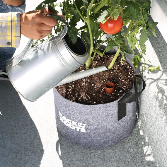 Back to the Roots - Olla Bewässerungstopf