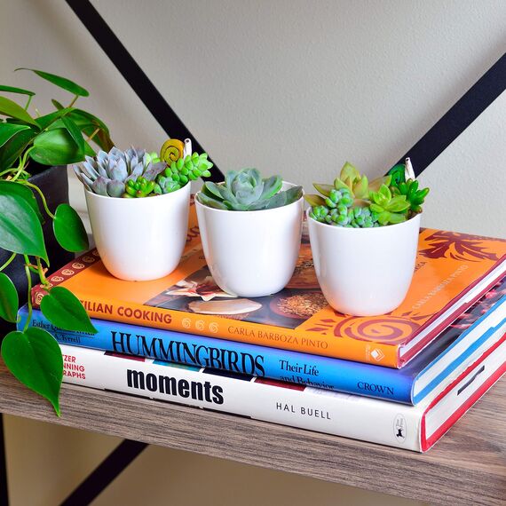 Youngever Mini-Pflanzgefäße aus Kunststoff, 8 cm, für den Innenbereich, weiß, Gartentopf mit Drainage, für alle Zimmerpflanzen, Blumen, Kräuter, Sukkulenten, Keine Pflanze im Lieferumfang enthalten,