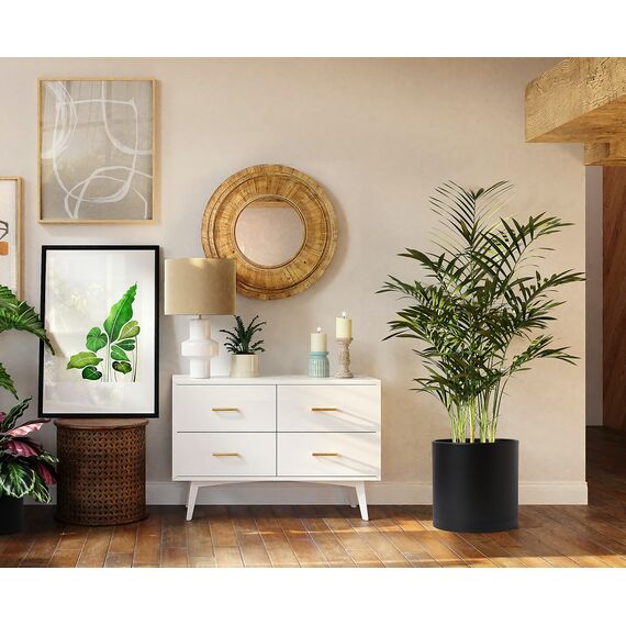 D'vine Dev 74-X-B-4 Pflanztöpfe aus schwarzem Kunststoff für Blumentopf mit Drainageloch und nahtlosen Untersetzern, 35,6 cm, Schwarz