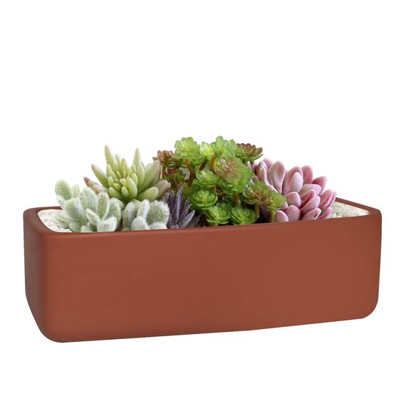 Thirtypot Rechteckiger Blumentopf, 25,4 cm, Terrakotta, Sukkulenten-Übertopf mit Ablaufloch, moderner Fensterkasten für Innen- und Außenbereich, Terrakotta