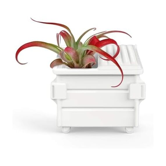 Genuine Fred Fancy Plants 5280962 Luftpflanzenhalter, Dumpster