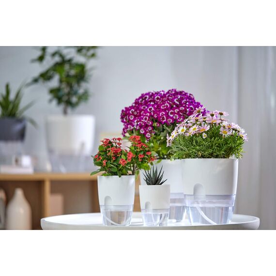 ETGLCOZY Selbstbewässernder Pflanzgefäß für Zimmerpflanzen, 6 Stück, 24 cm, 15 10 8 moderner dekorativer Kunststoff-Übertopf mit extra großem Wasserspeicher alle Blumen, Kräuter (grau)