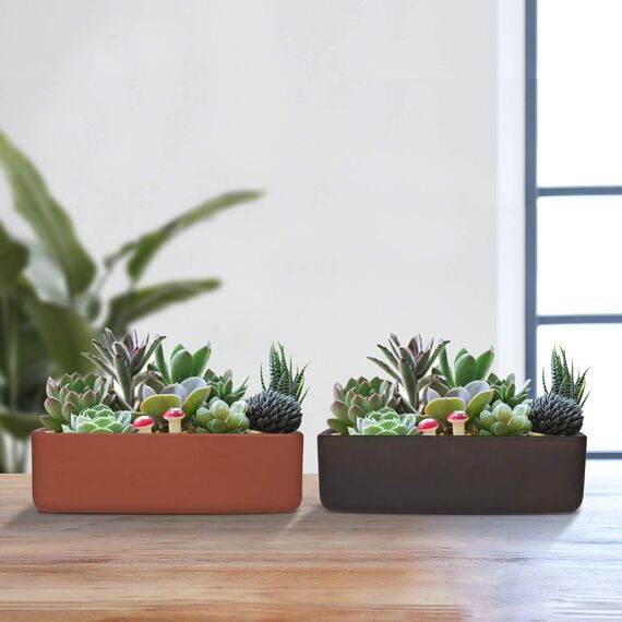 Thirtypot Rechteckiger Blumentopf, 25,4 cm, Terrakotta, Sukkulenten-Übertopf mit Ablaufloch, moderner Fensterkasten für Innen- und Außenbereich, Terrakotta