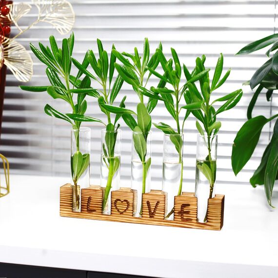 Mikiwon Anzuchtstationen Terrarium mit Holzständer, 5 Reagenzgläser, Desktop-Glas-Pflanzenterrarium in Holzständer für Hydrokulturpflanzen, Schneiden, Büro, Heimdekoration