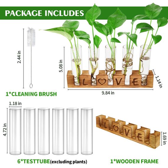 Mikiwon Anzuchtstationen Terrarium mit Holzständer, 5 Reagenzgläser, Desktop-Glas-Pflanzenterrarium in Holzständer für Hydrokulturpflanzen, Schneiden, Büro, Heimdekoration