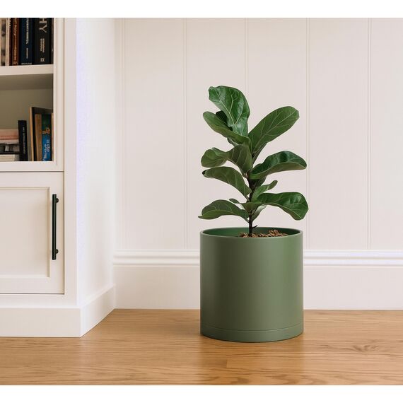 D'vine Dev 25,4 cm Kunststoff-Pflanztöpfe für Blumentopf mit Drainageloch und nahtlosen Untersetzern, Olivgrün, 74-X-I-2