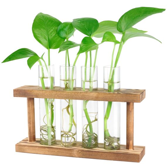 Desktop-Pflanzen-Terrarium, Anzuchtstation, 4 Reagenzgläser, Übertopf, Tisch-Glas-Pflanzgefäß, Vase mit Holzständer für Hydrokulturpflanzen, Heimbüro, Tischdekoration