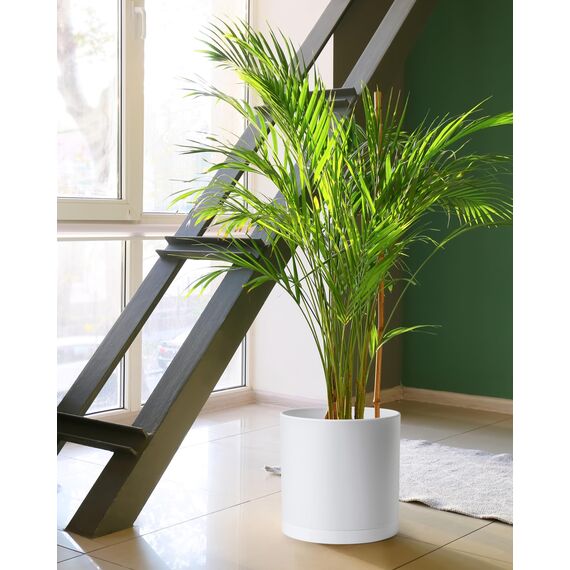 D'vine Dev Blumentöpfe aus Kunststoff, 30,5 cm, mit Ablaufloch und Nahtloser Untertasse, Weiß, 74-X-A-3