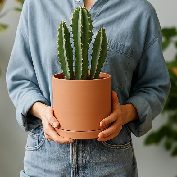 D'vine Dev Kleiner 15,2 cm großer Terrakotta-Blumentopf mit Ablaufloch und Untersetzer, runder Zylinder-Pflanztopf für Zimmerpflanzen, 40-X-A-3