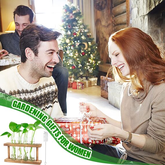 Desktop-Pflanzen-Terrarium, Anzuchtstation, 4 Reagenzgläser, Übertopf, Tisch-Glas-Pflanzgefäß, Vase mit Holzständer für Hydrokulturpflanzen, Heimbüro, Tischdekoration