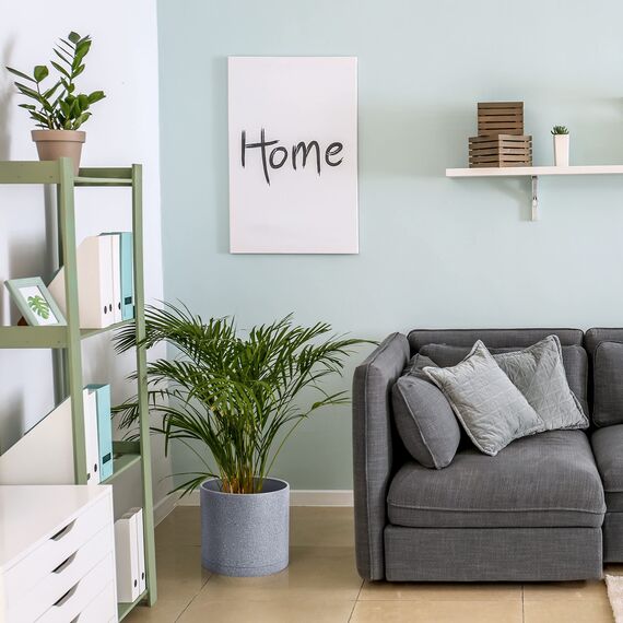 D'vine Dev 10-X Pflanztöpfe aus Kunststoff mit Wasserabflussloch und nahtloser Untertasse, Grau gesprenkelt Farbe, 25,4 cm.