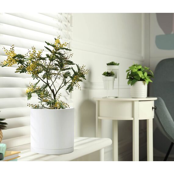 D'vine Dev Kunststoff-Pflanztöpfe für Blumentöpfe mit Ablaufloch und nahtlosen Untersetzern, Weiß, 74-X-A-1, 20,3 cm