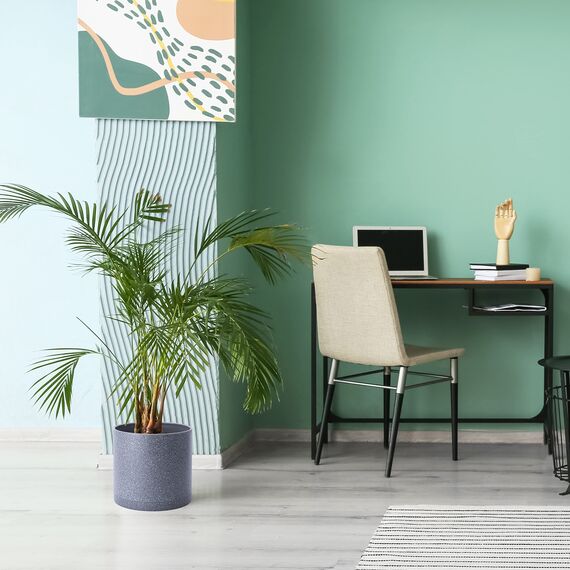 D'vine Dev 10-X Pflanztöpfe aus Kunststoff mit Wasserabflussloch und nahtloser Untertasse, Grau gesprenkelt Farbe, 25,4 cm.