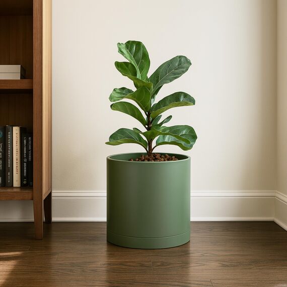 D'vine Dev 25,4 cm Kunststoff-Pflanztöpfe für Blumentopf mit Drainageloch und nahtlosen Untersetzern, Olivgrün, 74-X-I-2