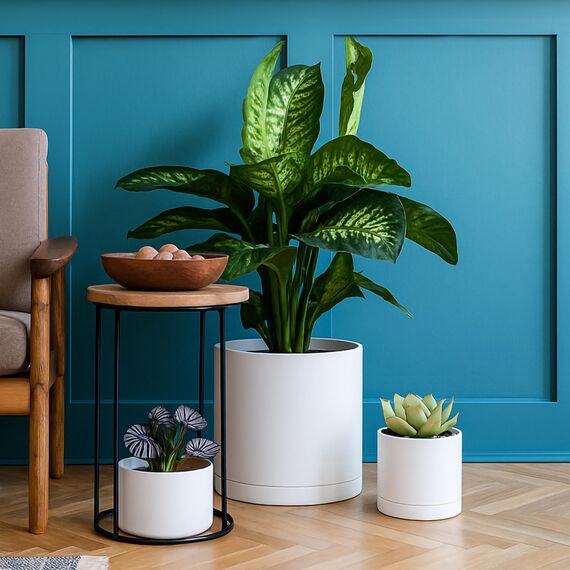 D'vine Dev Blumentöpfe aus Kunststoff, 30,5 cm, mit Ablaufloch und Nahtloser Untertasse, Weiß, 74-X-A-3