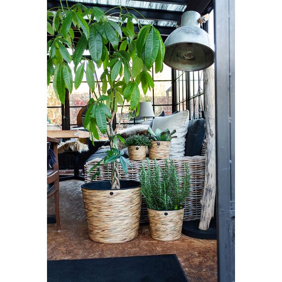 Franz Müller Flechtwaren Übertopf rund, Wasserhyazinthe, Natur gedreht, 23 x 23 x 24 cm