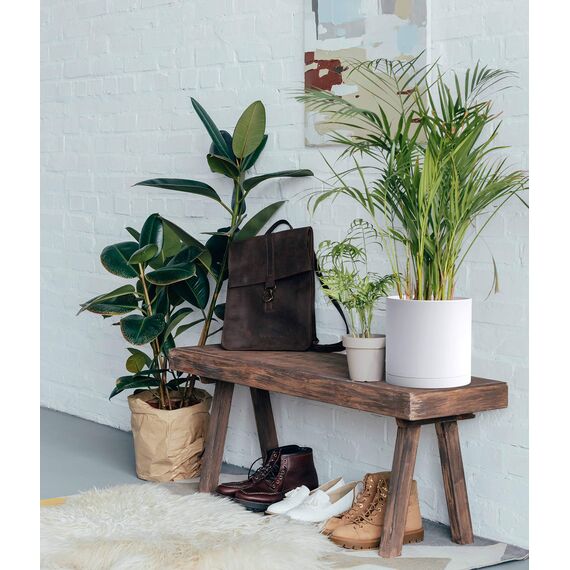 D'vine Dev Kunststoff-Pflanztöpfe für Blumentöpfe mit Ablaufloch und nahtlosen Untersetzern, Weiß, 74-X-A-1, 20,3 cm