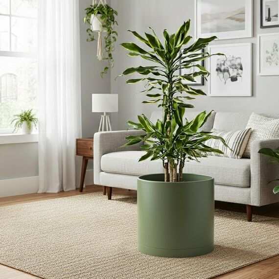 D'vine Dev 30,5 cm Kunststoff-Pflanztöpfe für Blumentopf mit Drainageloch und nahtlosen Untersetzern, Olivgrün, 74-X-I-3